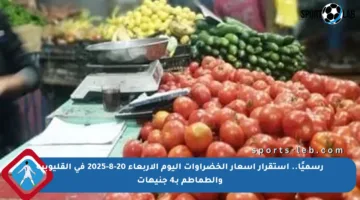 رسميًا.. استقرار أسعار الخضراوات اليوم الأربعاء 20-8-2025 في القليوبية والطماطم بـ4 جنيهات